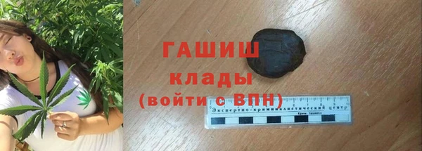 гидра Ладушкин