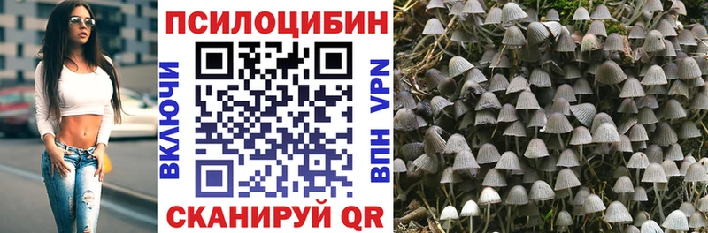 Галлюциногенные грибы GOLDEN TEACHER  Щёкино 